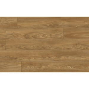 EUPHORIA AQUA protect 4V 56603 DUB PAMIR